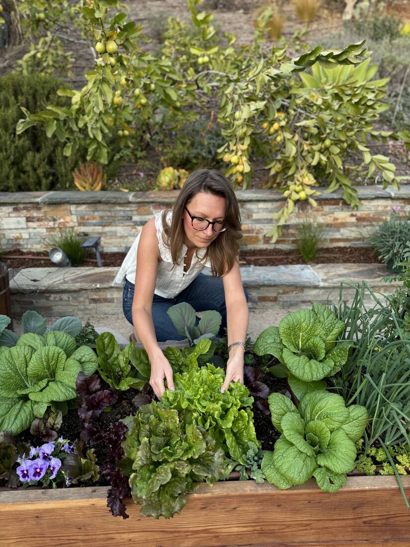 Marynika kneeling to tend a raised bed, gently checking freshly grown lettuce