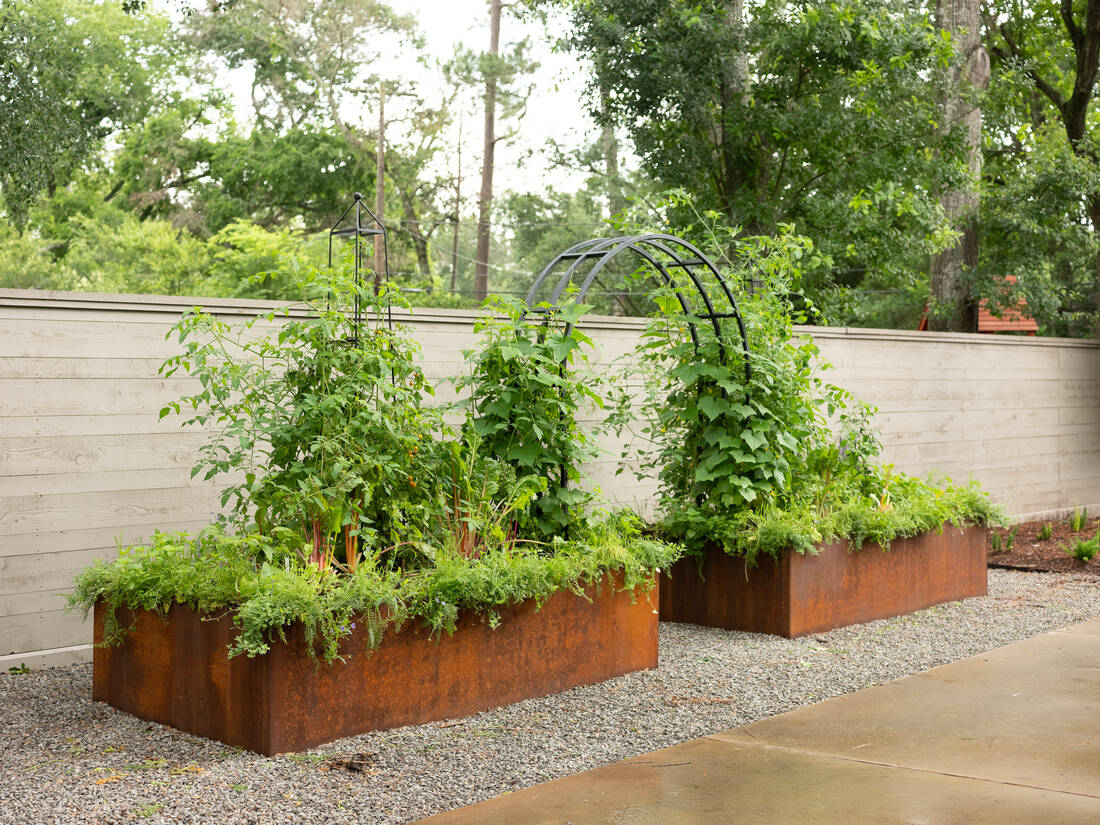 Corten steel raised beds with an obelisk trellis and arch, densely planted with tomatoes and cucumbers